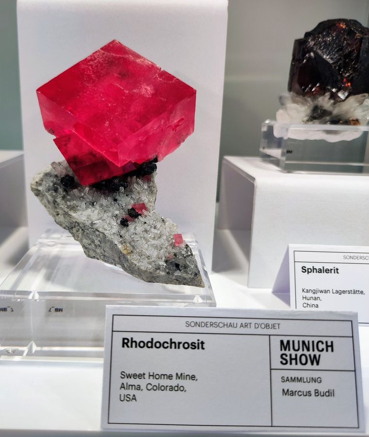 Mineralientage Munich 2023 (5) - Rhodochrosite from Sweet Home Mine_Colorado_USA.jpg