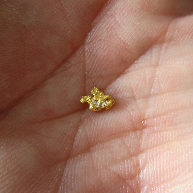 MokeGOLD1.JPG