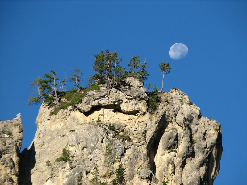 moon rock.jpg