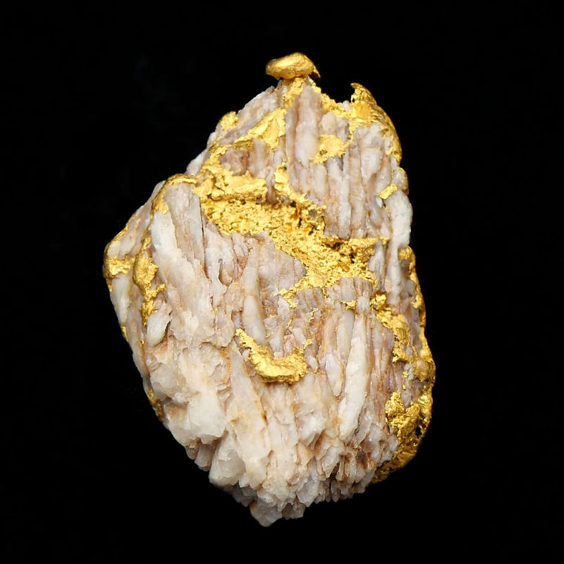 MulgGOLD1.jpg