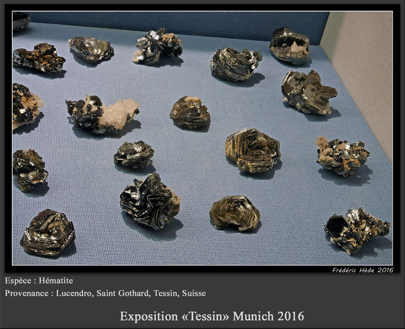 munich2016-09.jpg