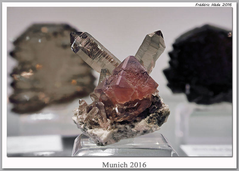 munich2016-105.jpg
