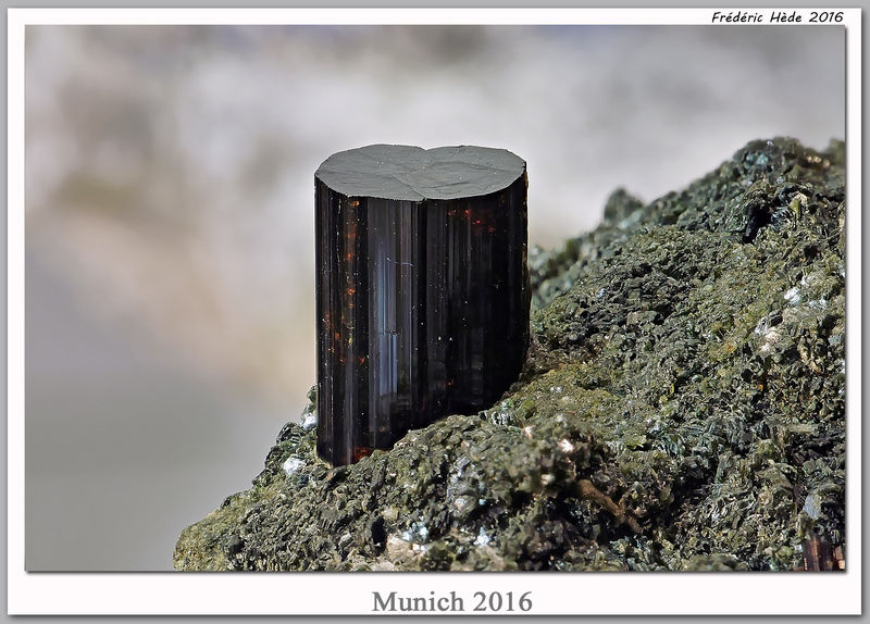 munich2016-106.jpg