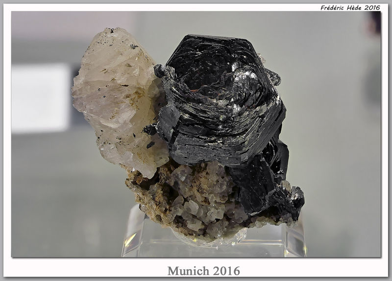 munich2016-107.jpg