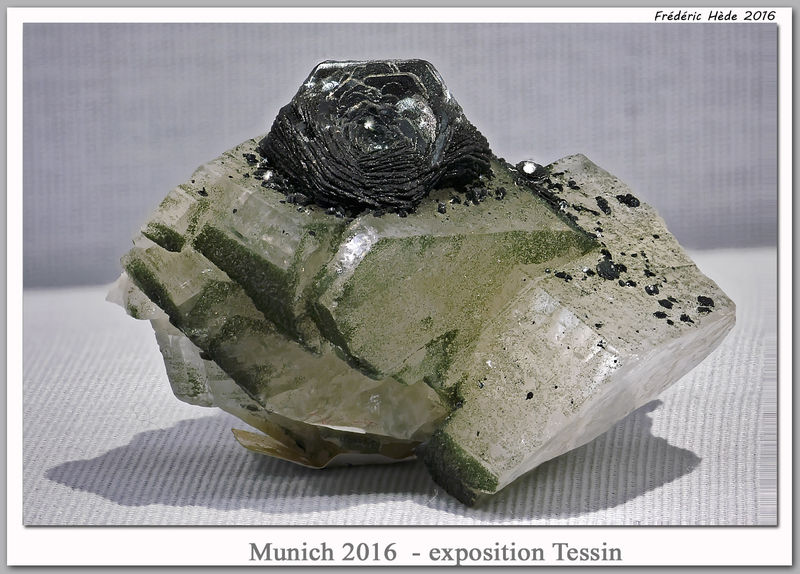 munich2016-15.jpg