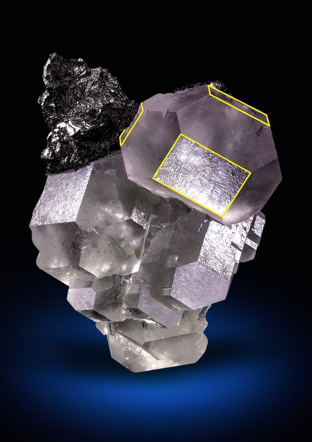 naicfluo_angle90.jpg
