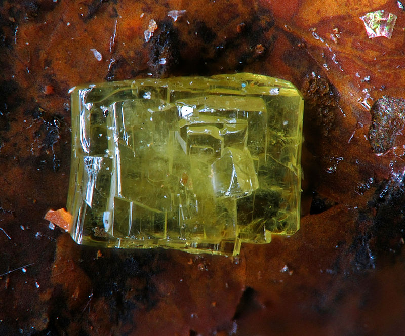 Nealite2 1.2mm.jpg