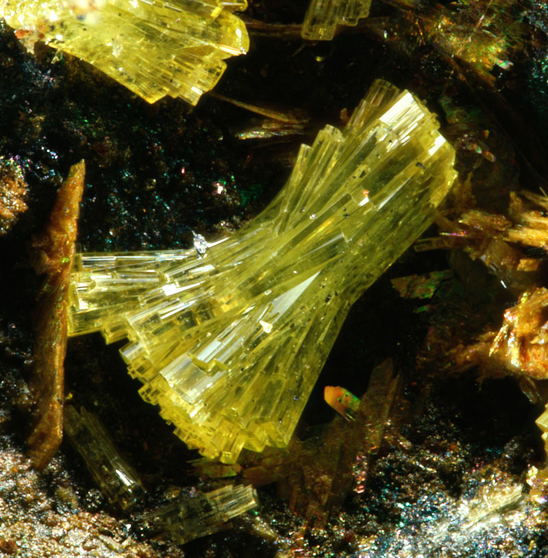 Nealite4 3.8mm.jpg