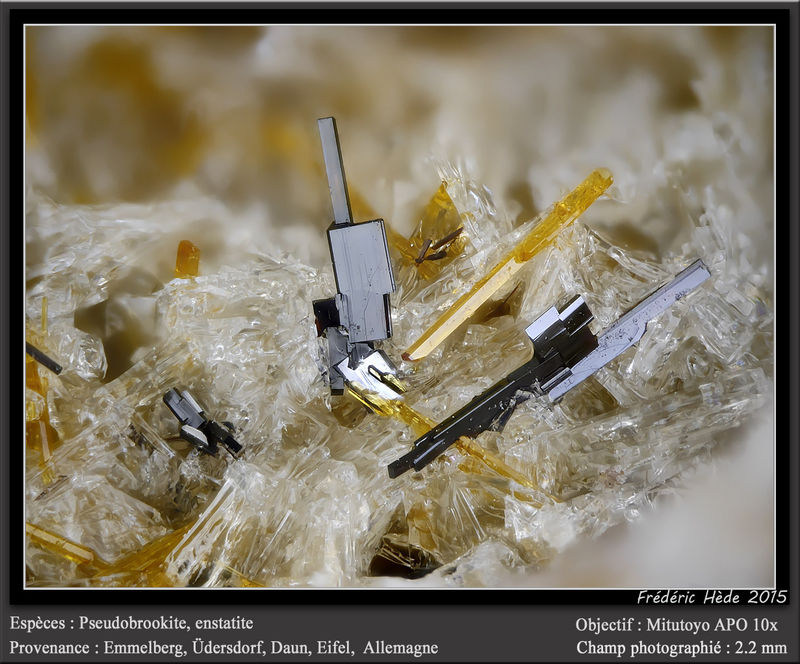 newmacro1002.jpg