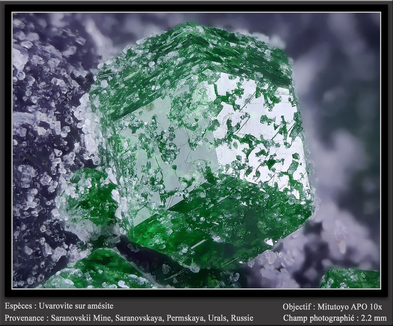 newmacro1006.jpg