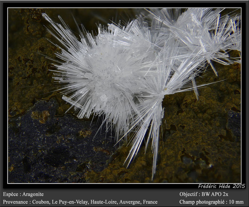 newmacro1022.jpg