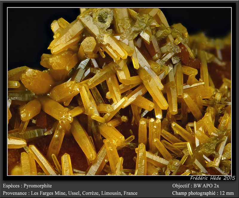 newmacro1027.jpg