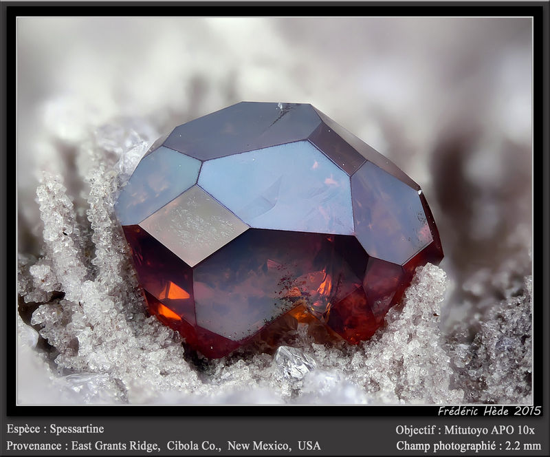 newmacro1045.jpg