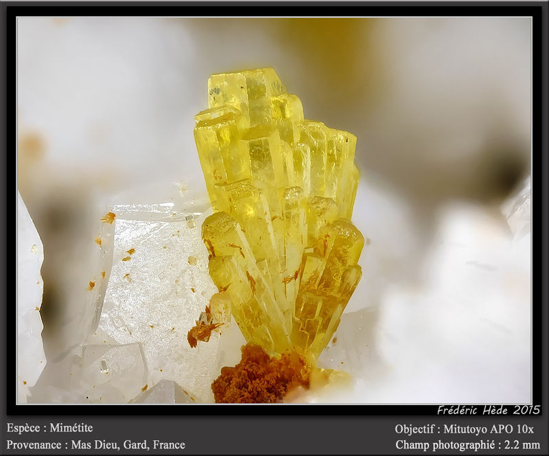 newmacro1046.jpg