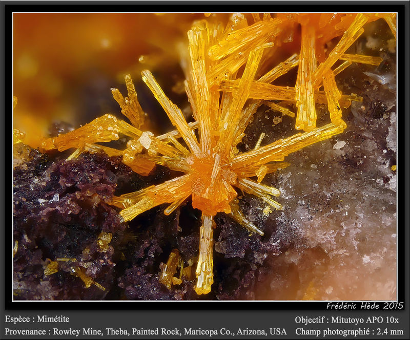 newmacro1049.jpg