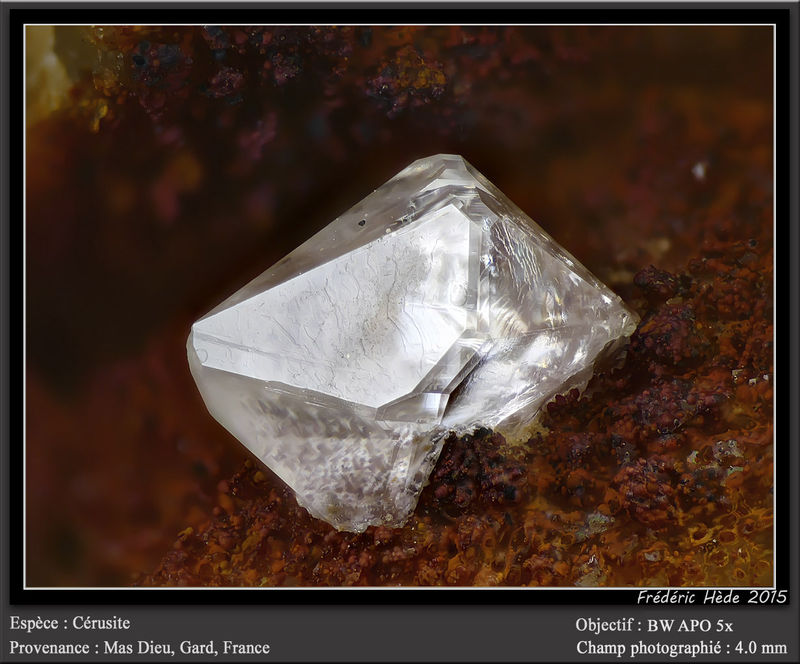 newmacro1050.jpg