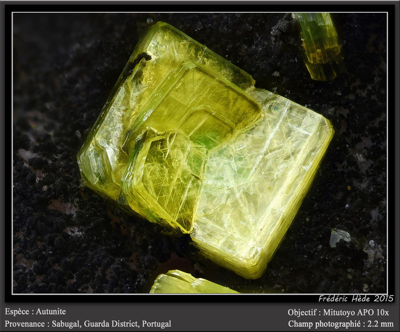 newmacro1054.jpg