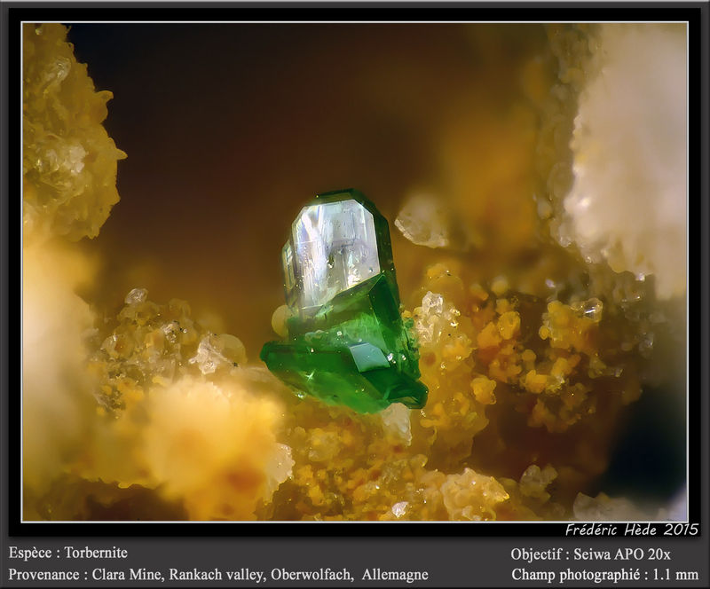 newmacro1059.jpg
