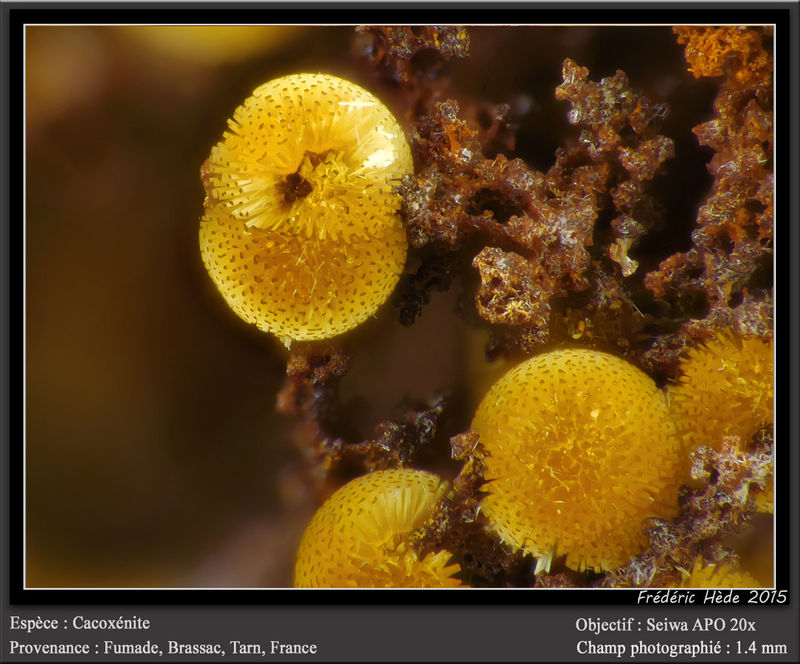 newmacro1118.jpg
