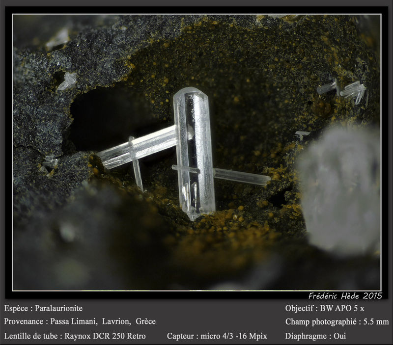 newmacro1129.jpg