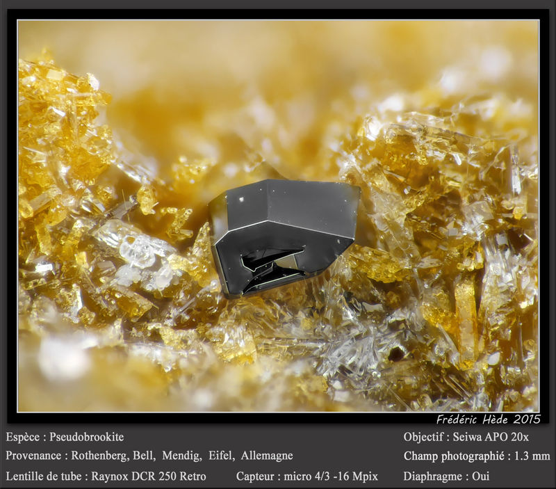 newmacro1130.jpg
