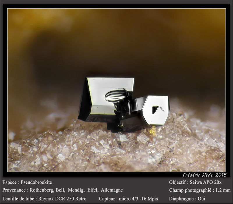 newmacro1131.jpg