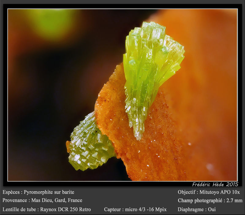 newmacro1134.jpg