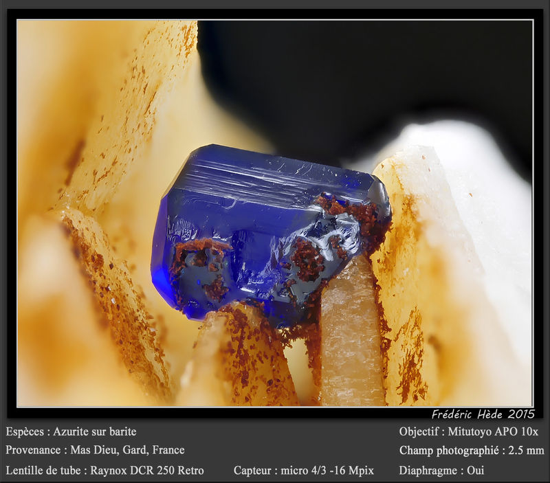 newmacro1135.jpg