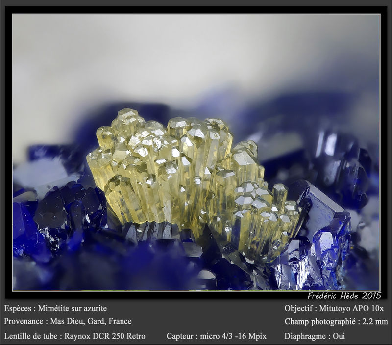 newmacro1137.jpg
