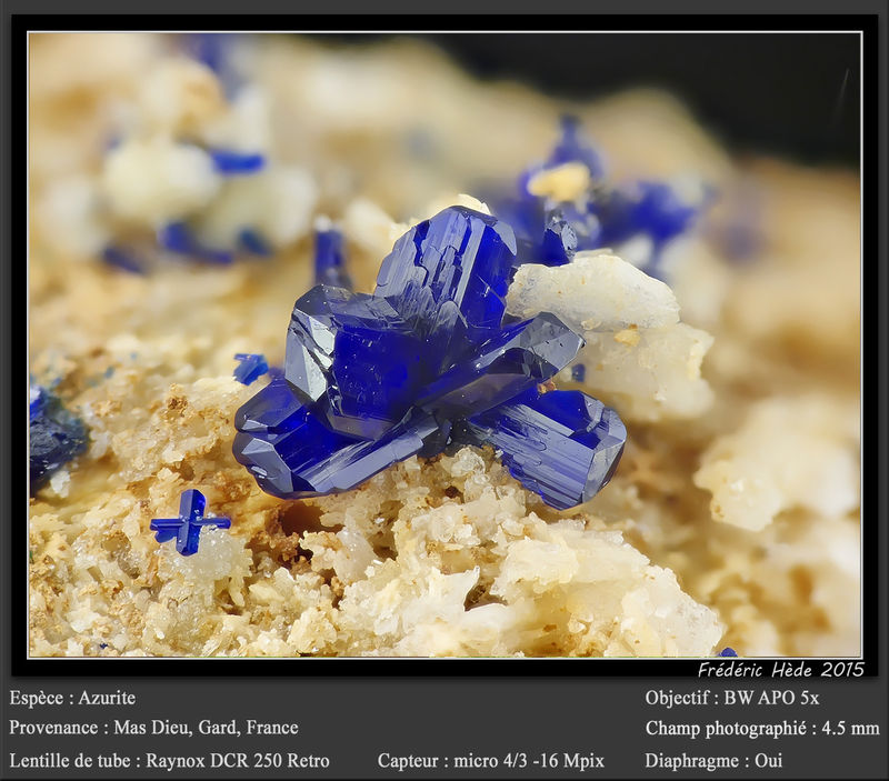newmacro1139.jpg