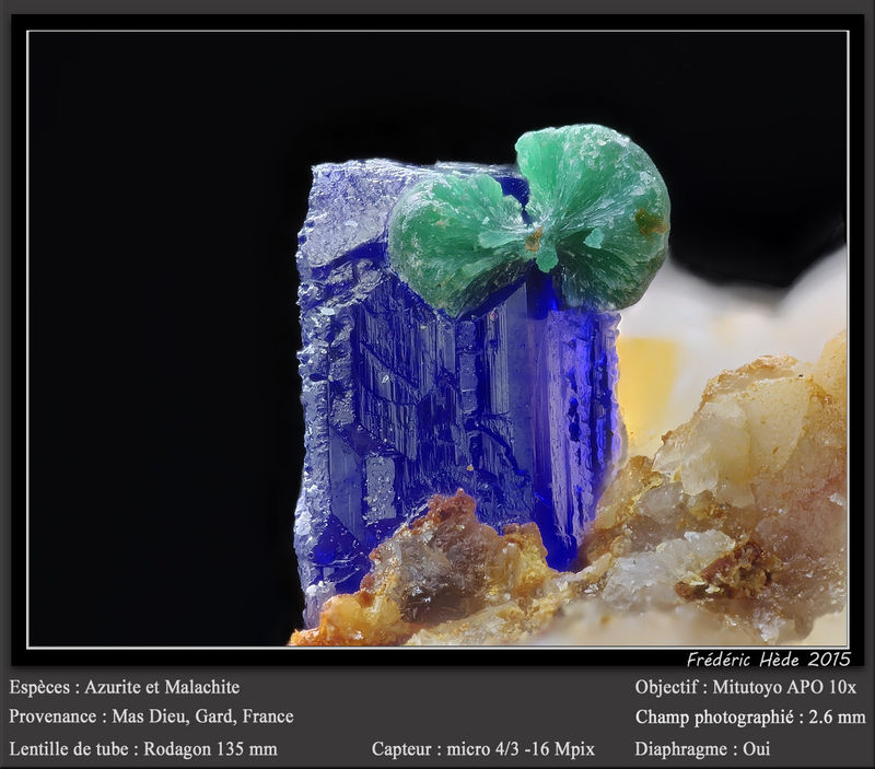 newmacro1231.jpg