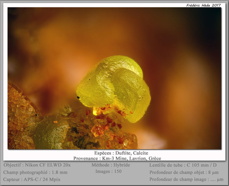 newmacro2070.jpg