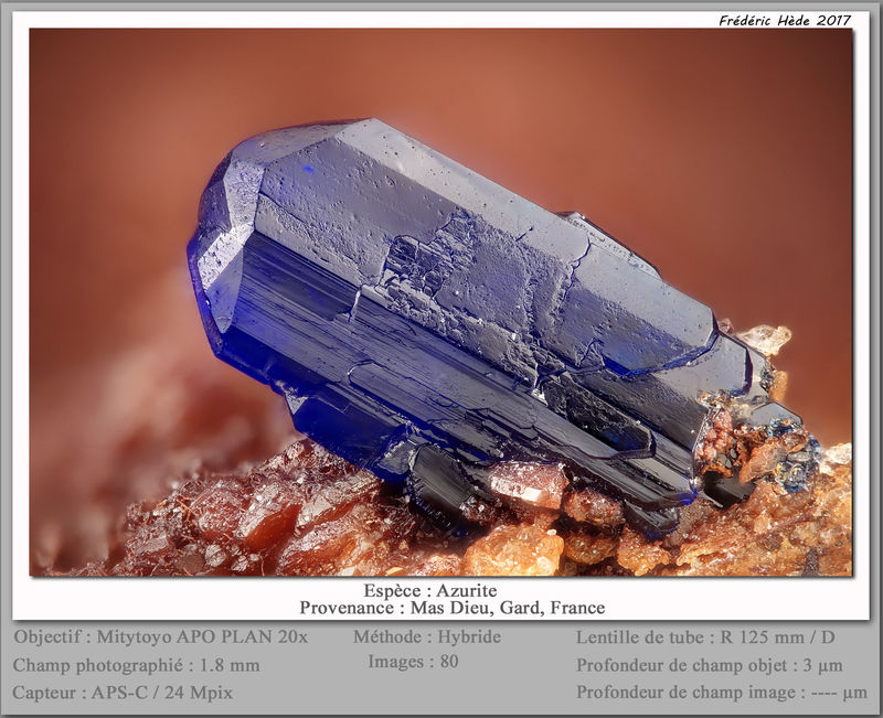 newmacro2259.jpg