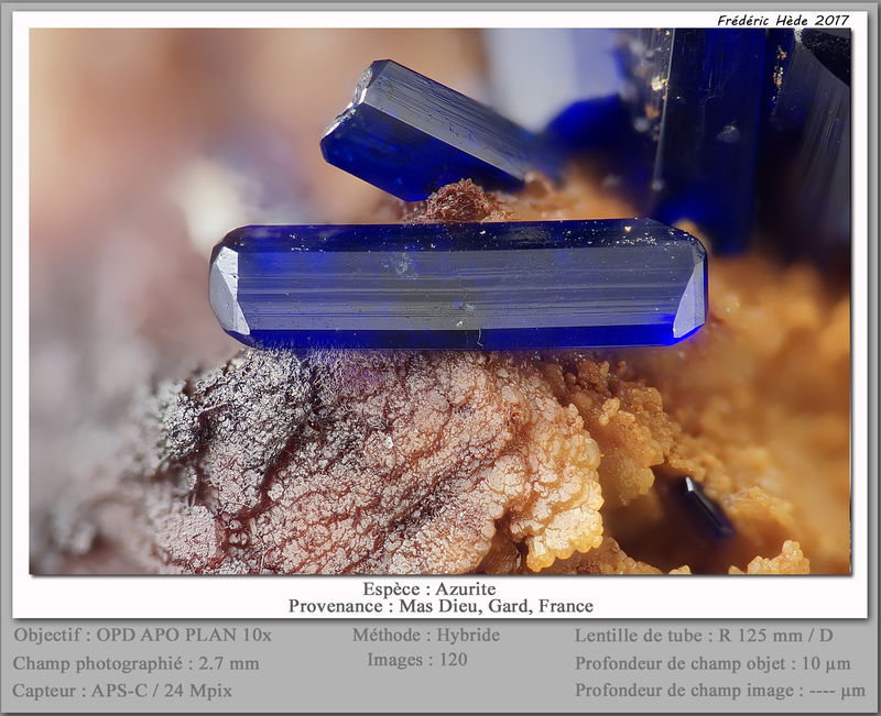 newmacro2267.jpg