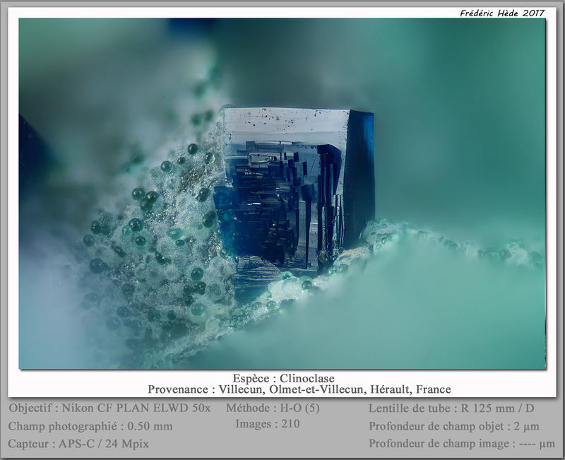 newmacro2278.jpg