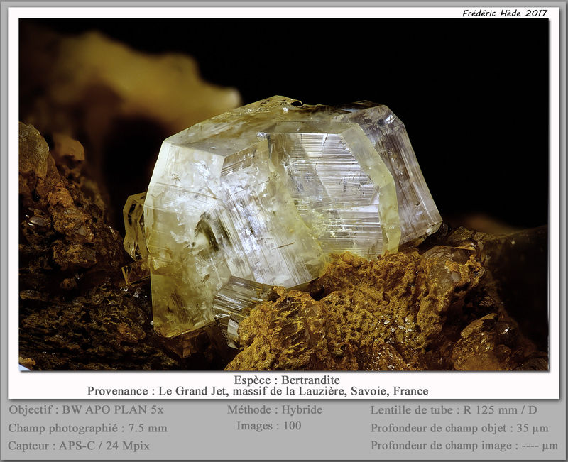 newmacro2286.jpg