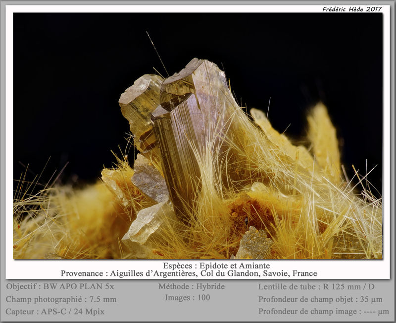 newmacro2288.jpg