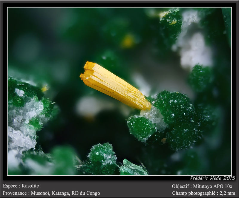 newmacro964.jpg