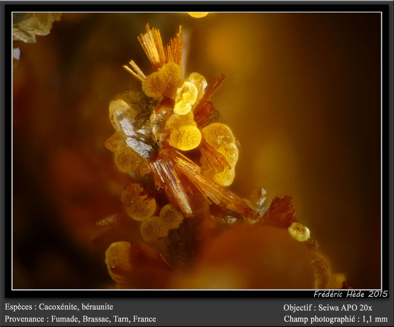 newmacro974.jpg