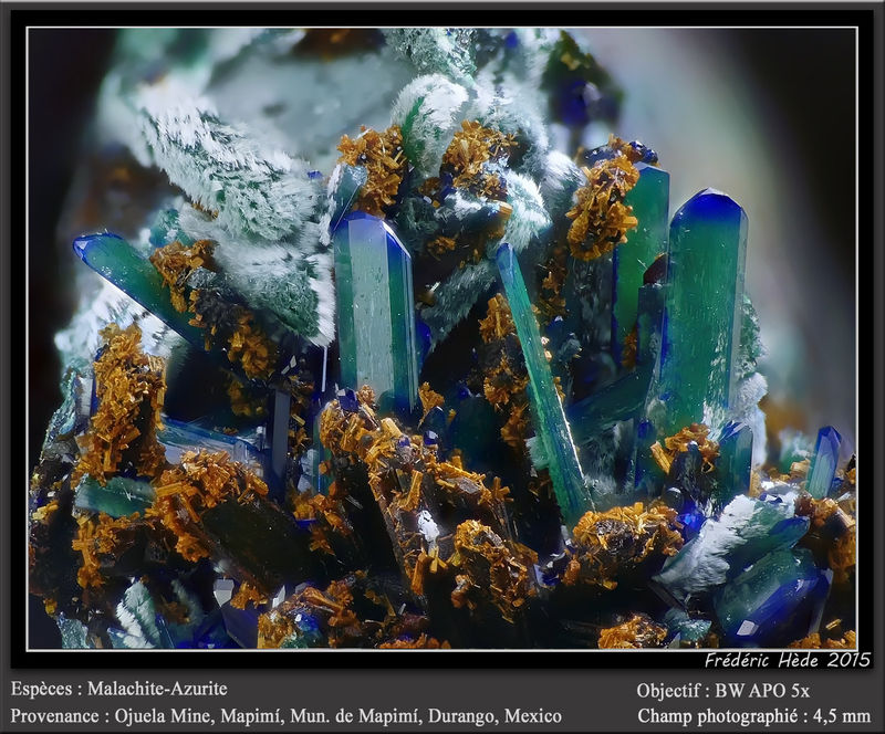 newmacro980.jpg