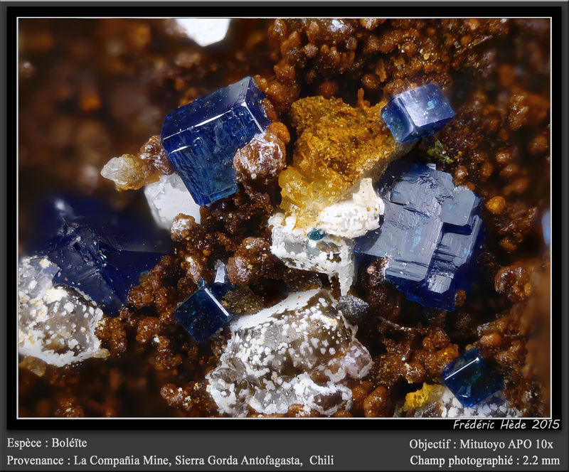 newmacro981.jpg