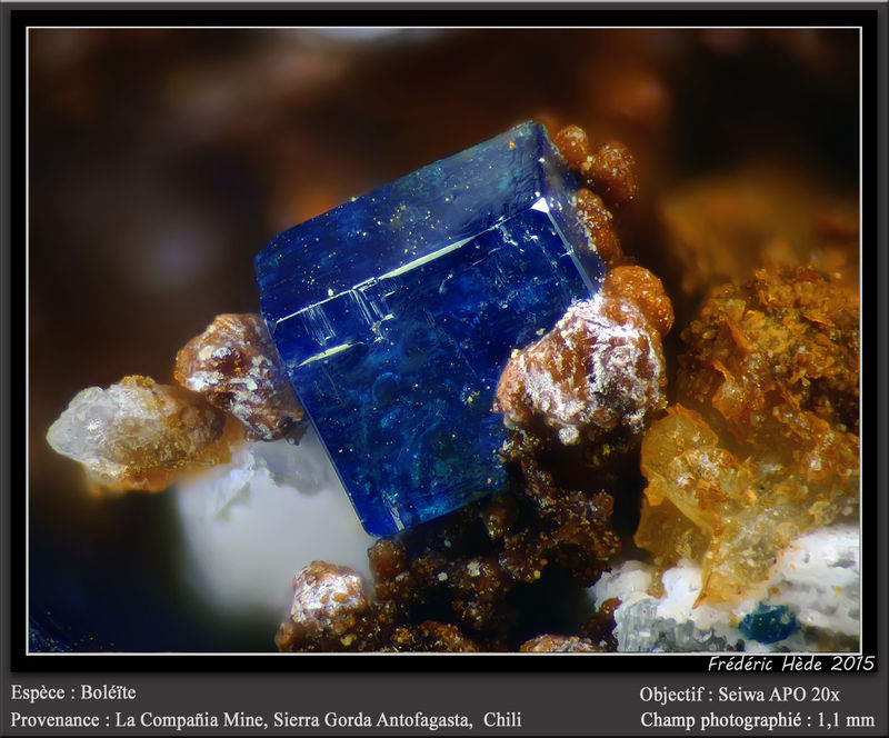 newmacro982.jpg