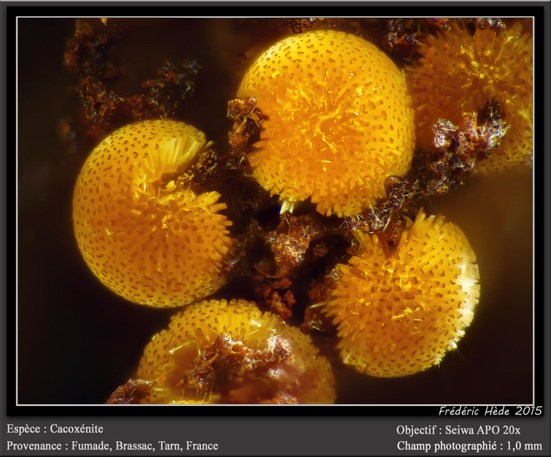 newmacro983.jpg