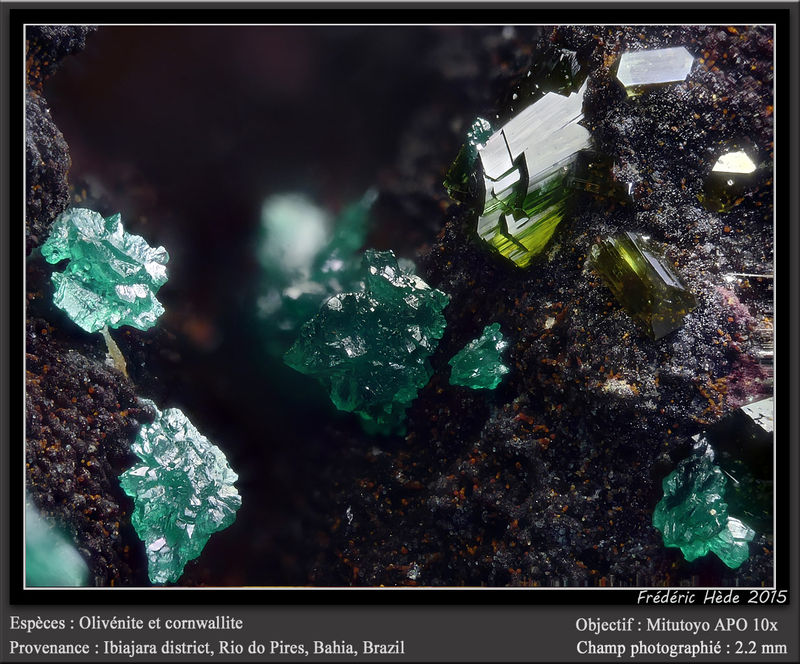 newmacro986.jpg