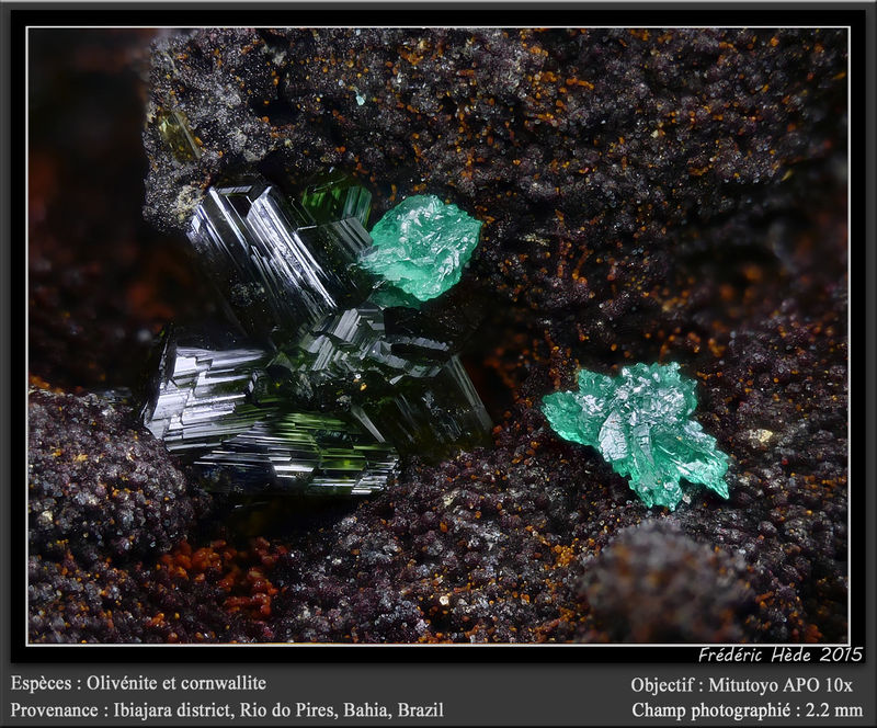 newmacro987.jpg