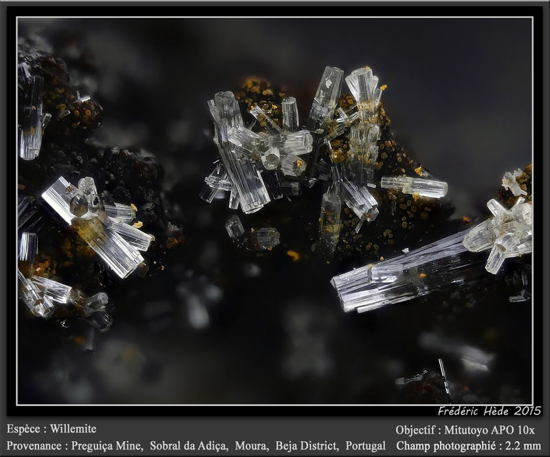 newmacro988.jpg