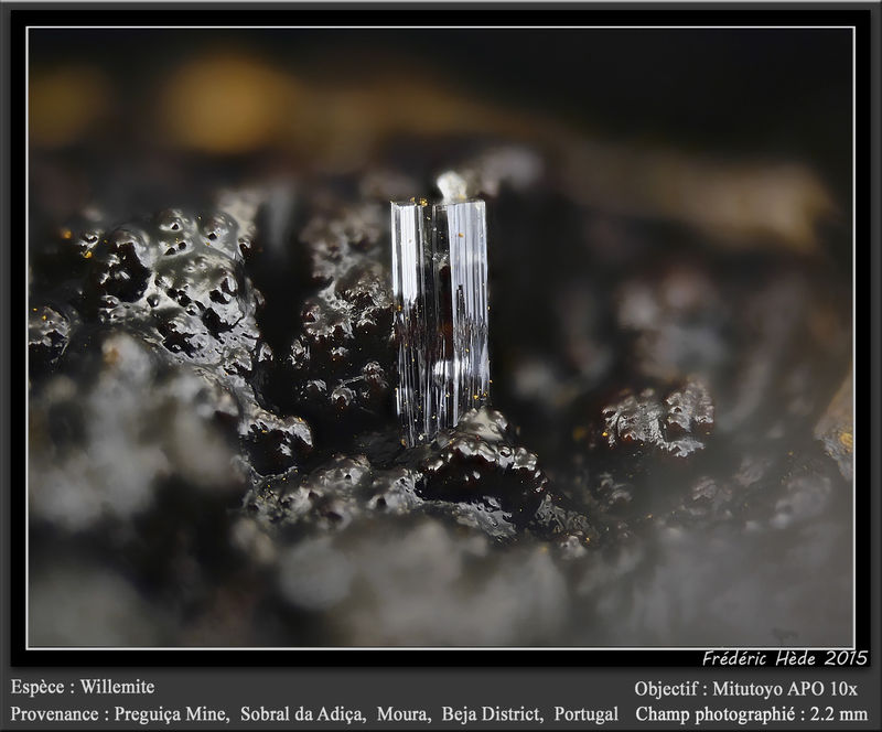 newmacro989.jpg