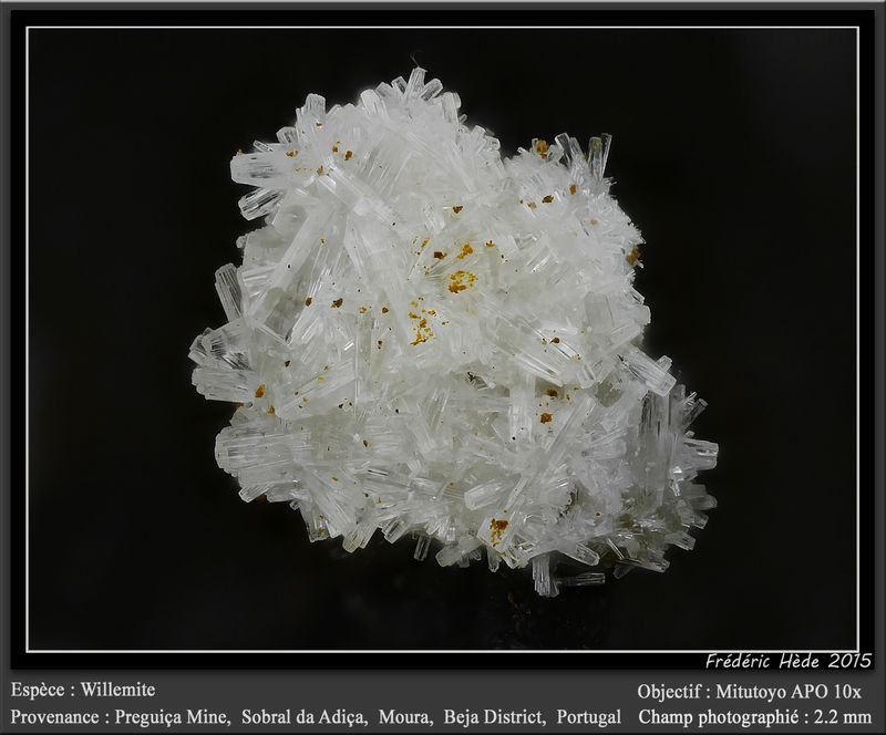 newmacro990.jpg