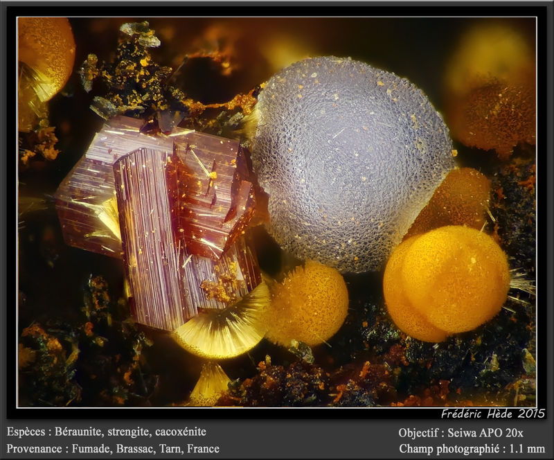 newmacro994.jpg