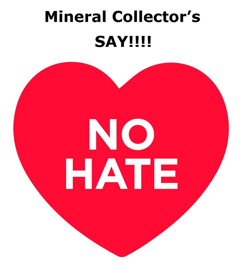 NO HATE.jpg